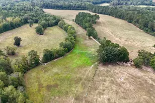 795 Alexander Rd, Gay, GA 30218 - Photo 43