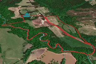 795 Alexander Rd, Gay, GA 30218 - Photo 39