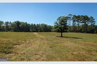 795 Alexander Road, Gay, GA 30218 - Photo 49
