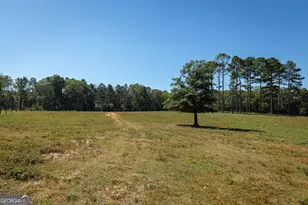 795 Alexander Rd, Gay, GA 30218 - Photo 49