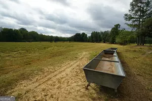 795 Alexander Rd, Gay, GA 30218 - Photo 11