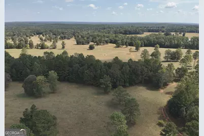 120 Torbet Road, Forsyth, GA 31029 - Photo 63