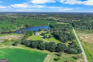 498 Walter L Dasher Rd, Glennville, GA 30427 - Photo 43