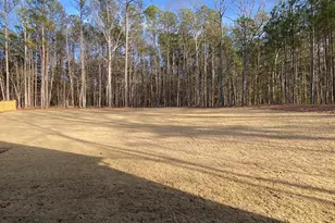 Lot 198 Northshore At Redwine Dr, Newnan, GA 30263 - Photo 41