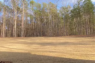 Lot 198 Northshore At Redwine Dr, Newnan, GA 30263 - Photo 23