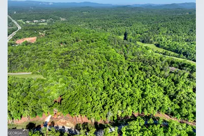 Lot 41 Ridge Drive, Morganton, GA 30560 - Photo 19