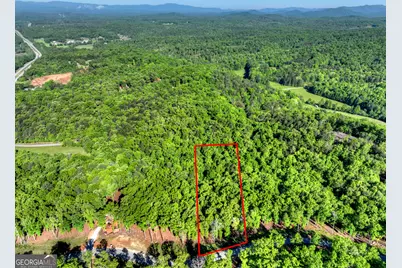 Lot 41 Ridge Drive, Morganton, GA 30560 - Photo 9