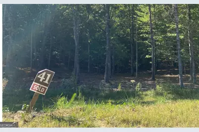 Lot 41 Ridge Drive, Morganton, GA 30560 - Photo 7