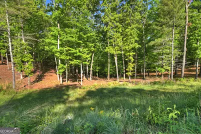 Lot 41 Ridge Drive, Morganton, GA 30560 - Photo 29