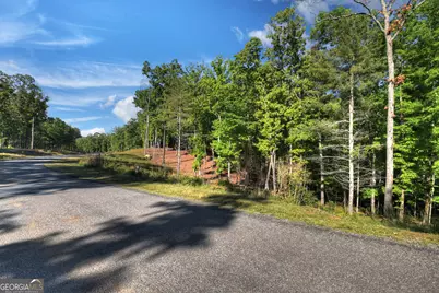 Lot 41 Ridge Drive, Morganton, GA 30560 - Photo 25