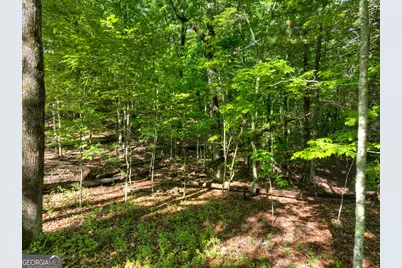 Lot 41 Ridge Drive, Morganton, GA 30560 - Photo 11