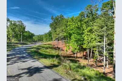 Lot 41 Ridge Drive, Morganton, GA 30560 - Photo 31