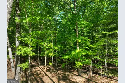 Lot 41 Ridge Drive, Morganton, GA 30560 - Photo 33