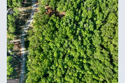 Lot 41 Ridge Drive, Morganton, GA 30560 - Photo 17