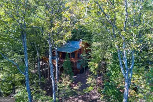 24 Casey Ct, Blue Ridge, GA 30513 - Photo 51