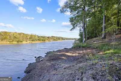 161 Hoot Owl Lane, Eatonton, GA 31024 - Photo 7