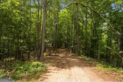 7945 Reinhardt College Parkway, Waleska, GA 30183 - Photo 39