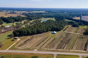 1904 Hwy 341 S, Barnesville, GA 30204 - Photo 7