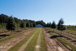 1904 Hwy 341 S, Barnesville, GA 30204 - Photo 5