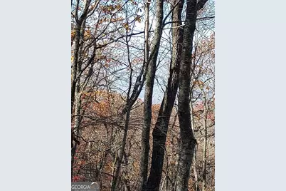 0 Lot 25 Alex Mountain, Sky Valley, GA 30537 - Photo 7