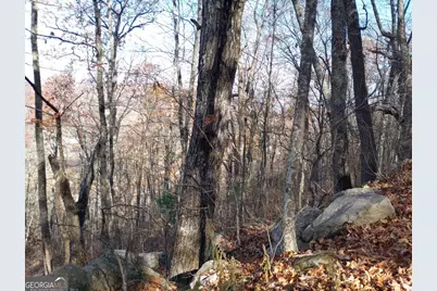 0 Lot 25 Alex Mountain, Sky Valley, GA 30537 - Photo 3