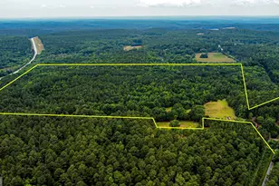 8990 Rivertown Rd, Fairburn, GA 30213 - Photo 5