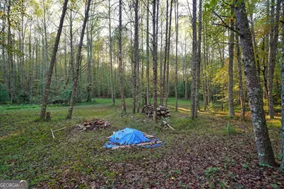 1841 Old Bucktown Road, Ellijay, GA 30536 - Photo 23