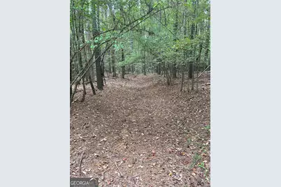 0 Elder Road, Griffin, GA 30223 - Photo 45