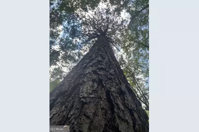 0 Elder Road, Griffin, GA 30223 - Photo 33