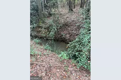 0 Elder Road, Griffin, GA 30223 - Photo 13