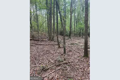 0 Elder Road, Griffin, GA 30223 - Photo 35