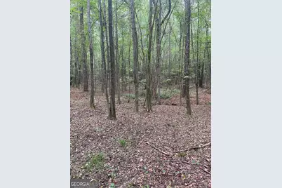 0 Elder Road, Griffin, GA 30223 - Photo 43