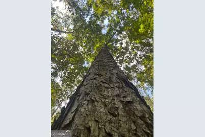 0 Elder Road, Griffin, GA 30223 - Photo 7