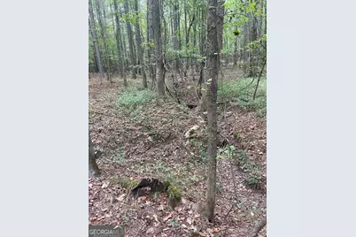 0 Elder Road, Griffin, GA 30223 - Photo 19