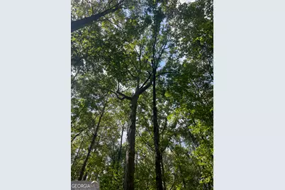 0 Elder Road, Griffin, GA 30223 - Photo 5