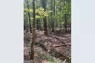 0 Elder Road, Griffin, GA 30223 - Photo 1