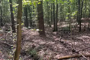 0 Elder Rd, Griffin, GA 30223 - Photo 1