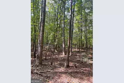 0 Elder Road, Griffin, GA 30223 - Photo 25