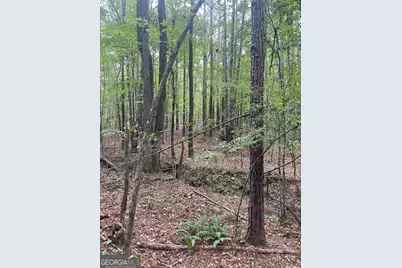 0 Elder Road, Griffin, GA 30223 - Photo 17