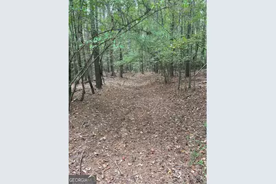 0 Elder Road, Griffin, GA 30223 - Photo 21