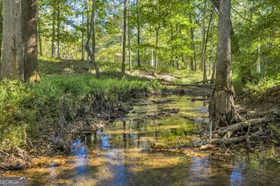 81 Peach Blossom Road, Bonaire, GA 31071 - Photo 47