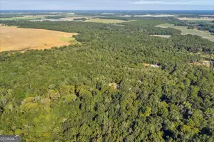 81 Peach Blossom Rd, Bonaire, GA 31071 - Photo 39