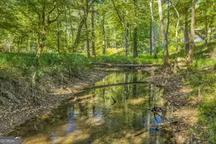 81 Peach Blossom Rd, Bonaire, GA 31071 - Photo 43