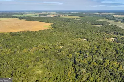 81 Peach Blossom Road, Bonaire, GA 31071 - Photo 51