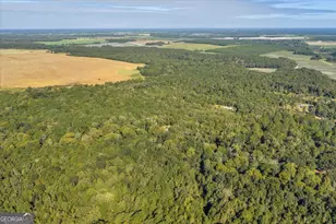 81 Peach Blossom Rd, Bonaire, GA 31071 - Photo 51