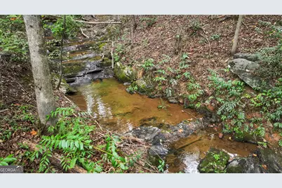 320 Hickory Ridge Drive, Cleveland, GA 30528 - Photo 47