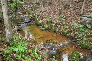 320 Hickory Ridge Dr, Cleveland, GA 30528 - Photo 47