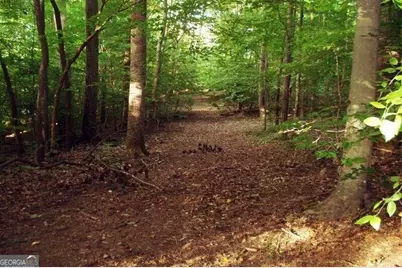 511 Fontaine Road SW, Mableton, GA 30126 - Photo 11