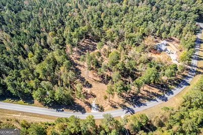 1081 Eagle Way Drive, Greensboro, GA 30642 - Photo 3