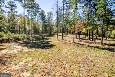 1081 Eagle Way Drive, Greensboro, GA 30642 - Photo 5